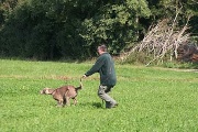 20080927-208.jpg
