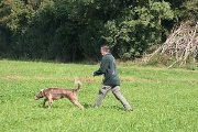 20080927-209.jpg