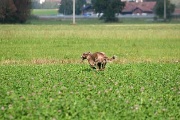 20080927-211.jpg