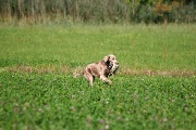 20080927-219.jpg