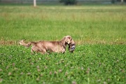 20080927-226.jpg