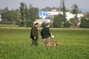 20080927-234.jpg