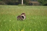 20080927-250.jpg