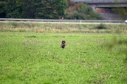 20080927-259.jpg