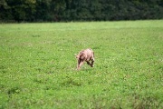 20080927-268.jpg