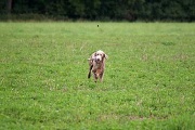 20080927-282.jpg