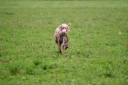 20080927-284.jpg
