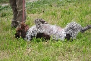 20080927-291.jpg