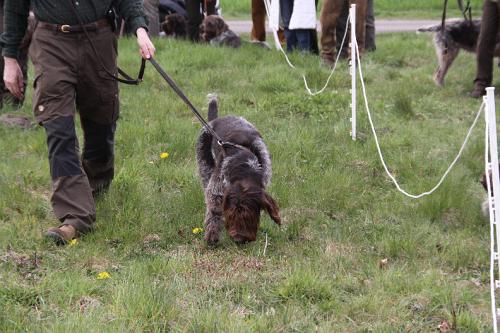 2011_04_16_103.JPG