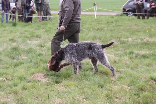 2011_04_16_105.JPG