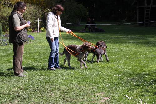 2010_04_24_229.JPG