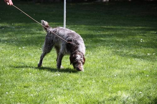 2010_04_24_246.JPG