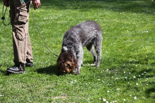 2010_04_24_259.JPG