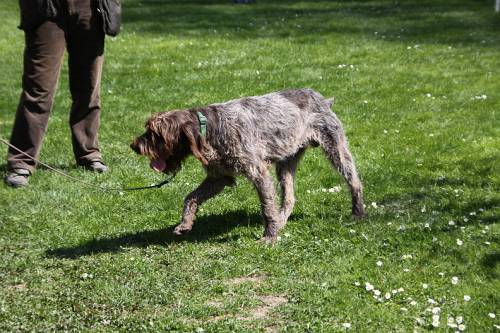 2010_04_24_265.JPG