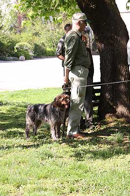 20090425-313.jpg