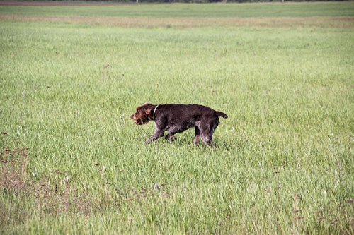 20090410-028.jpg