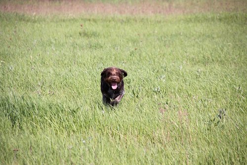 20090410-033.jpg