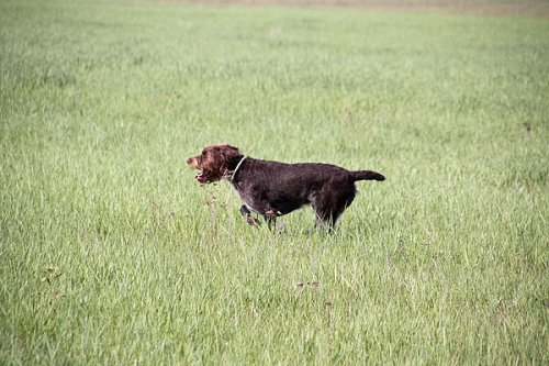 20090410-039.jpg