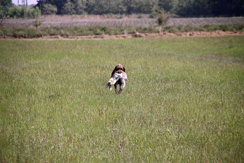 20090410-087.jpg