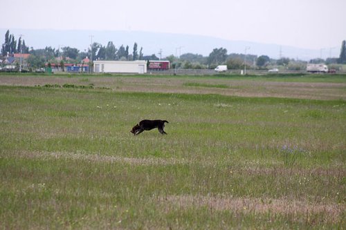 20090410-412.jpg