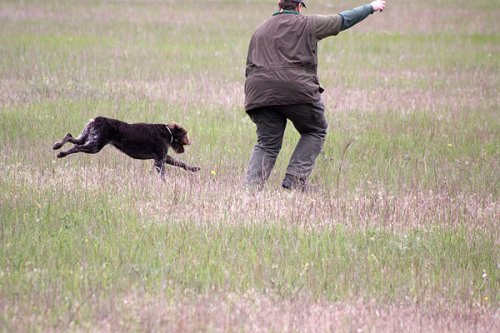 20090410-415.jpg