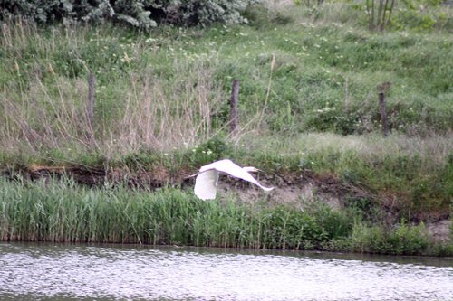 20090410-451.jpg