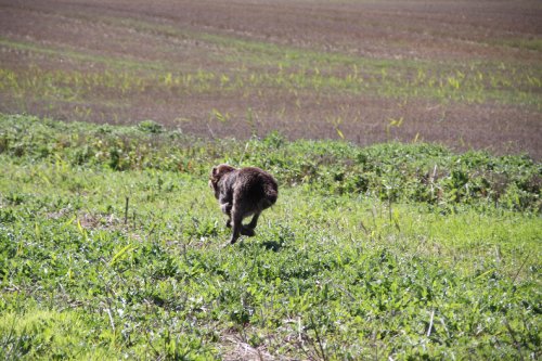 2010_09_11_049.JPG