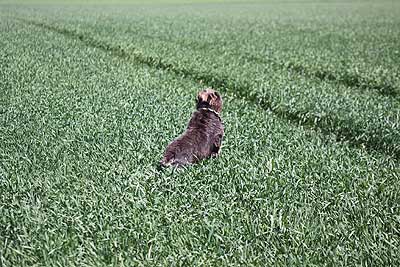 20090418-101.jpg