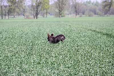 20090418-113.jpg