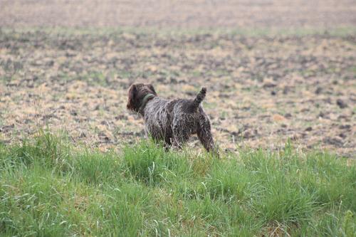 2010_05_01_056.JPG
