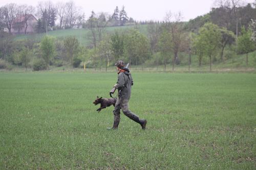 2010_05_01_084.JPG