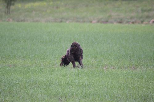 2010_05_01_086.JPG