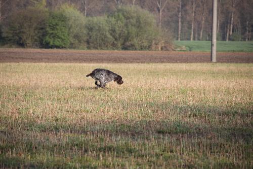 2011_04_16_204.JPG