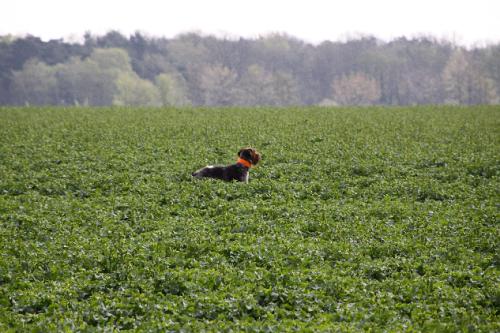 2011_04_16_231.JPG