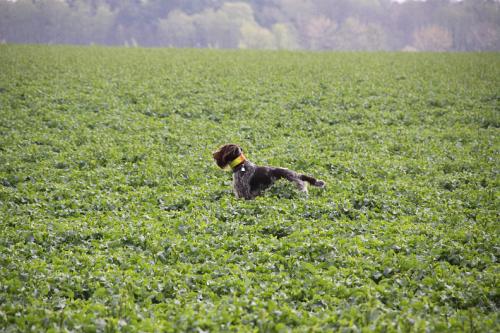 2011_04_16_237.JPG