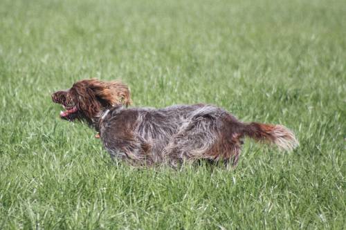 2010_04_24_127.JPG