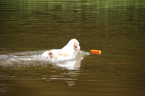 20090801 022.jpg
