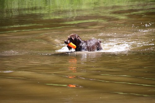 20090801 052.jpg