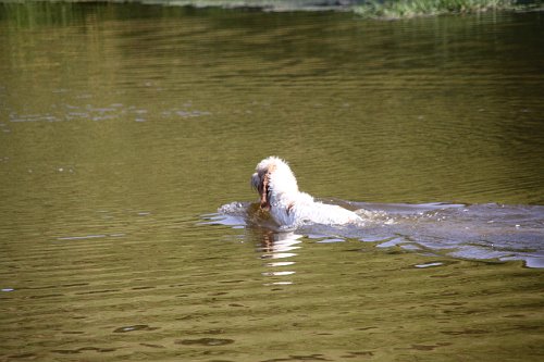 20090801 053.jpg