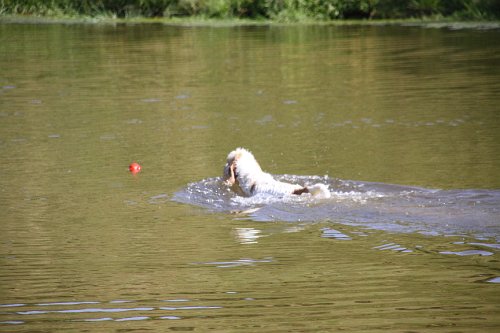 20090801 057.jpg
