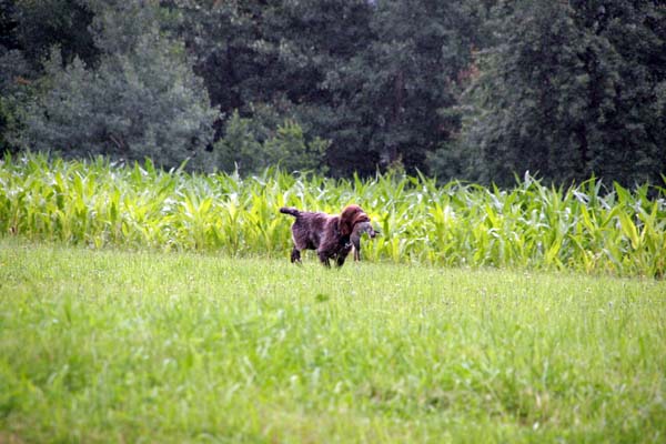 IMG_5017.jpg