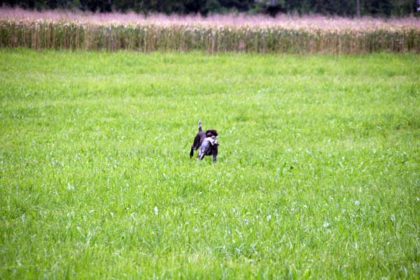 IMG_5036.jpg