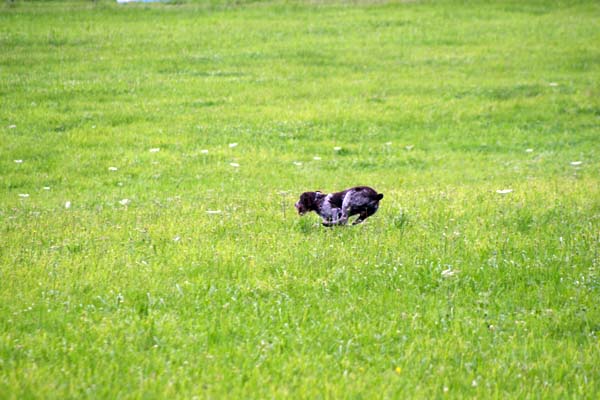 IMG_5106.jpg