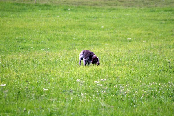 IMG_5109.jpg