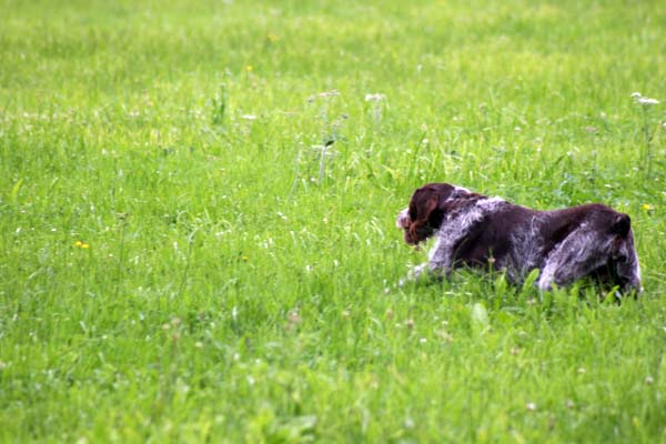 IMG_5112.jpg