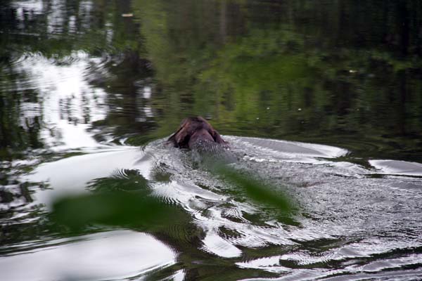 IMG_5165.jpg
