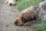 IMG_4967.jpg