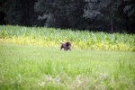 IMG_5014.jpg
