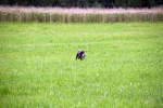 IMG_5034.jpg