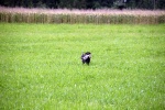 IMG_5035.jpg
